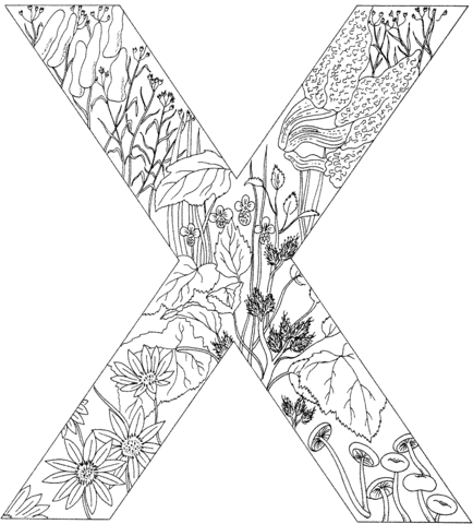 Letter X With Plants Coloring Page